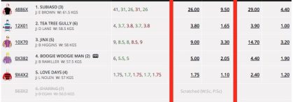 What are sport odds and RTP?