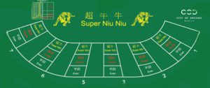 Read more about the article Advanced card counting skills in NiuNiu live at SuperAce88