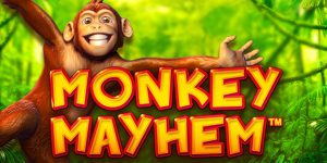 Read more about the article Monkey Climb Tree
