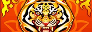 Read more about the article Treasure Tiger
