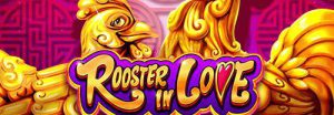 Read more about the article Rooster In Love