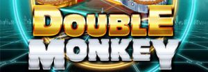 Read more about the article Double Monkey